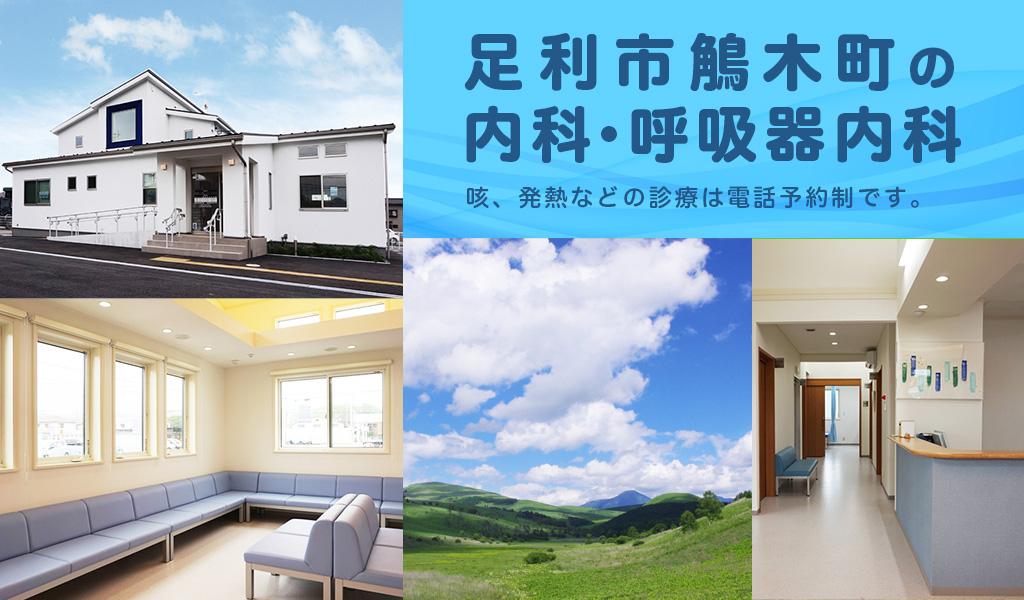 足利鵤木町の内科・呼吸器内科 足利市鵤木町の内科・呼吸器内科 花粉症・アレルギー疾患の診療も行っております。